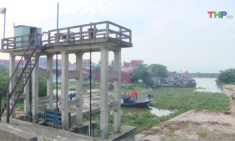 Bản tin thời sự trưa (09/06/2024)