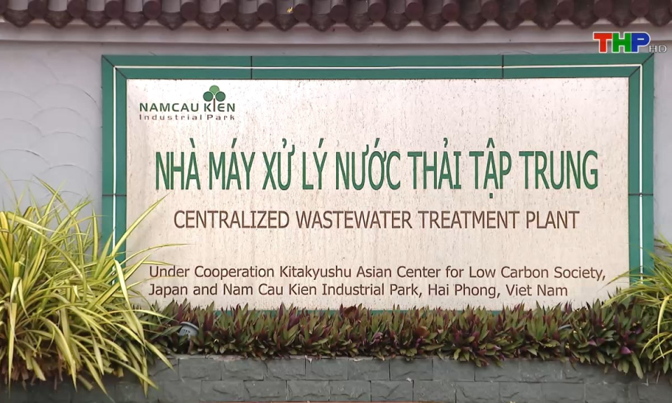 Bản tin tiếng Anh (10/06/2024)