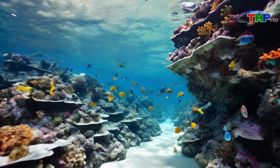 Khoa học c&ocirc;ng nghệ v&agrave; đời sống: Nghi&ecirc;n cứu x&acirc;y dựng quản l&yacute; v&agrave; sử dụng bộ mẫu sinh vật biển thuộc quần đảo C&aacute;t B&agrave;