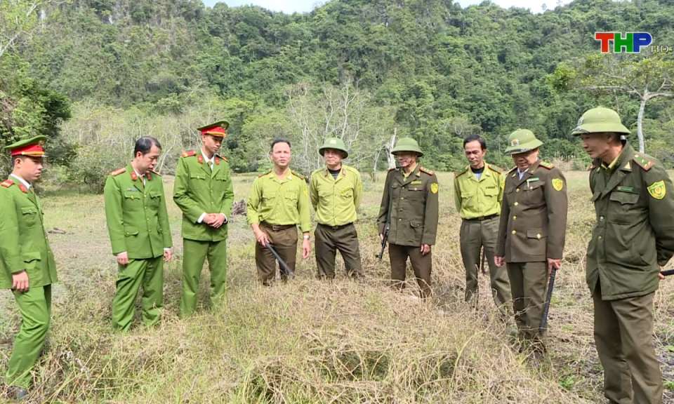An ninh Hải Ph&ograve;ng: Giải ph&aacute;p PCCC rừng trong điều kiện thời tiết m&ugrave;a h&egrave;