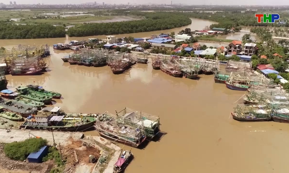 Bản tin Hải Ph&ograve;ng h&ocirc;m nay (11/06/2024)