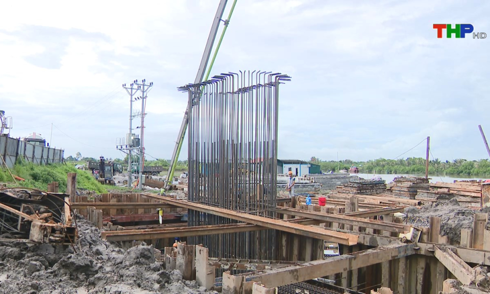 Bản tin thời sự tối (11/06/2024)