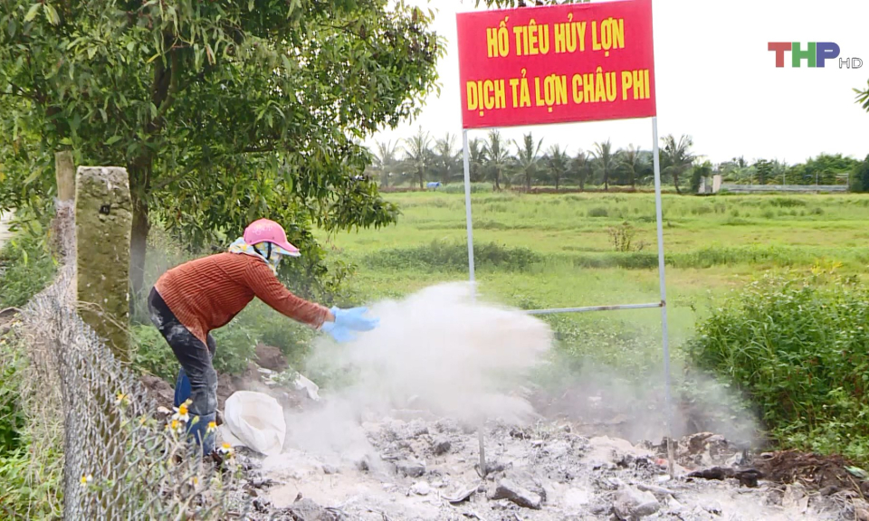 15 hộ chăn nu&ocirc;i ph&aacute;t hiện c&oacute; dịch tả lợn ch&acirc;u Phi