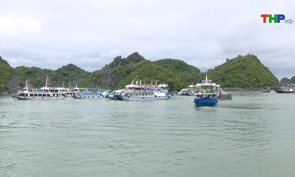 Bản tin tiếng Trung (13/06/2024)