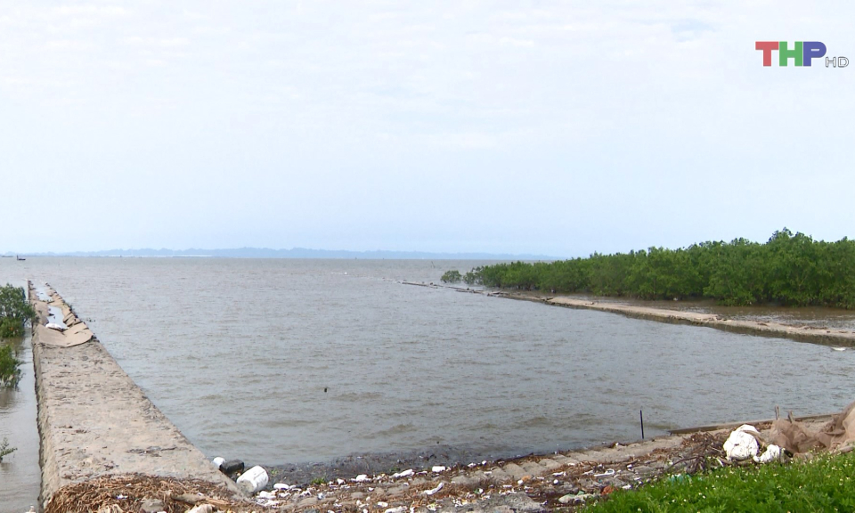 Chủ động phương &aacute;n di d&acirc;n ngo&agrave;i đ&ecirc; trước m&ugrave;a mưa b&atilde;o