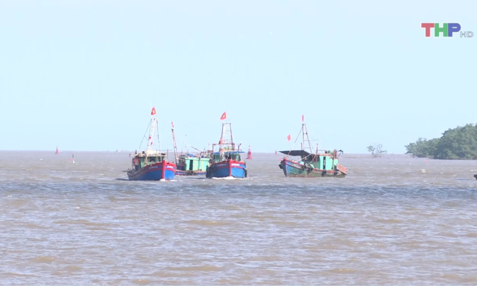 Bản tin thời sự trưa (15/06/2024)