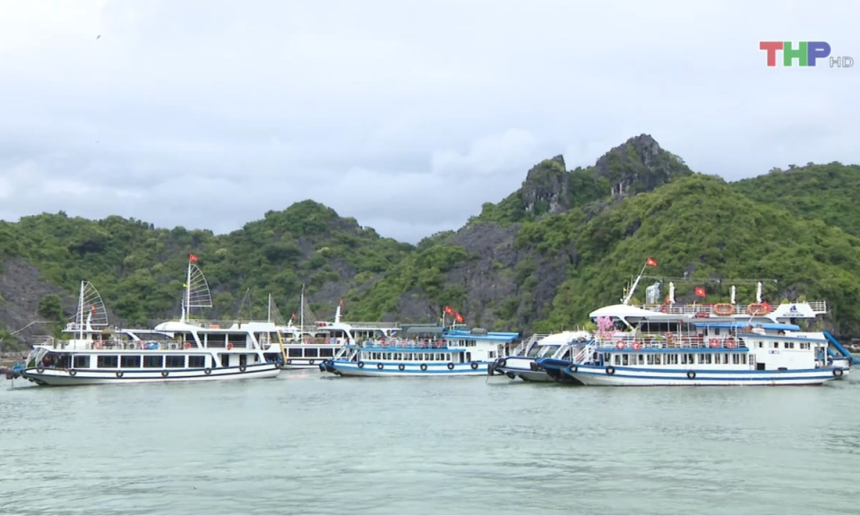 Bản tin thời sự trưa (18/06/2024)