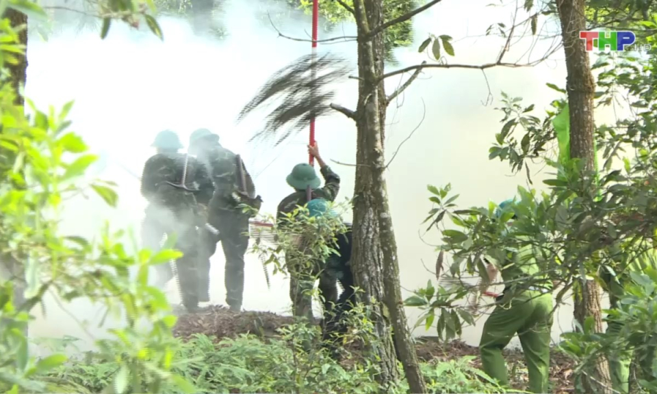 Bản tin thời sự trưa (19/06/2024)