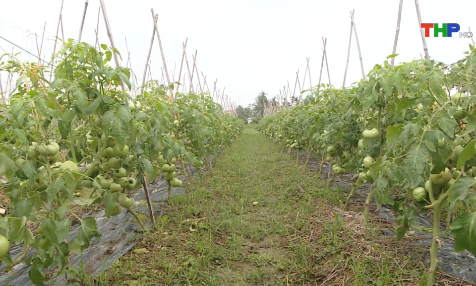 10 ph&uacute;t v&agrave;ng (19/06/2024)