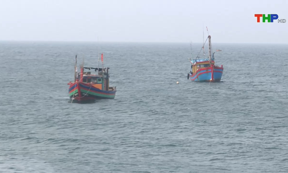 Bản tin tiếng Trung (23/06/2024)