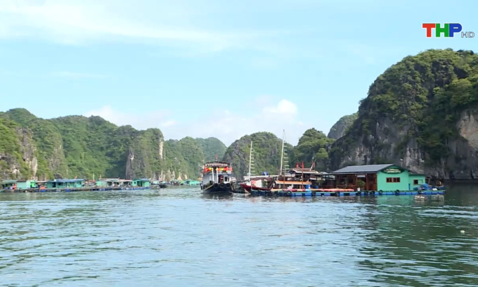 Bản tin thời sự tối (23/06/2024)