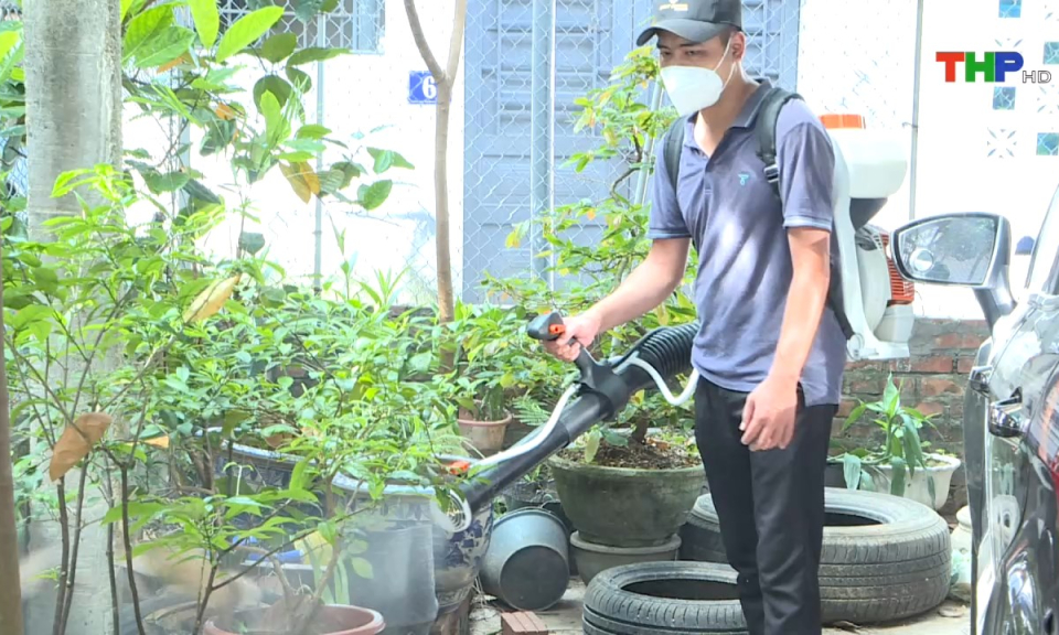 Y tế sức khỏe: Hải Ph&ograve;ng triển khai đồng bộ c&aacute;c giải ph&aacute;p ngăn chặn dịch sốt xuất huyết