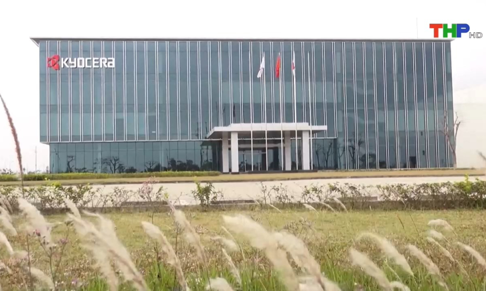 Bản tin tiếng Anh (25/06/2024)