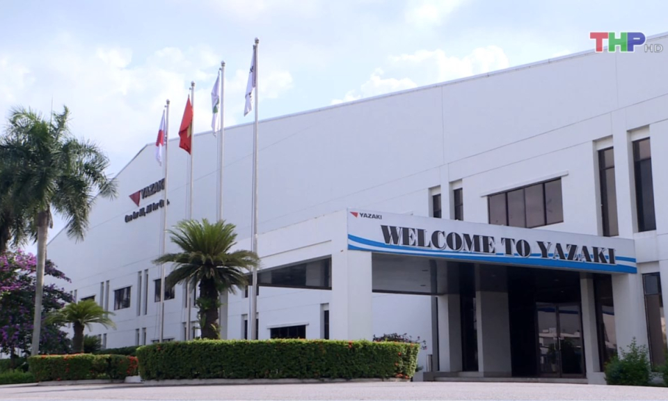 Bản tin thời sự trưa (28/06/2024)