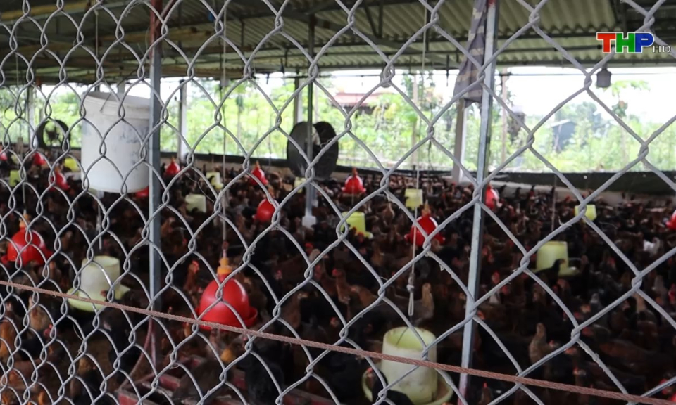 Bản tin Hải Ph&ograve;ng h&ocirc;m nay (28/06/2024)