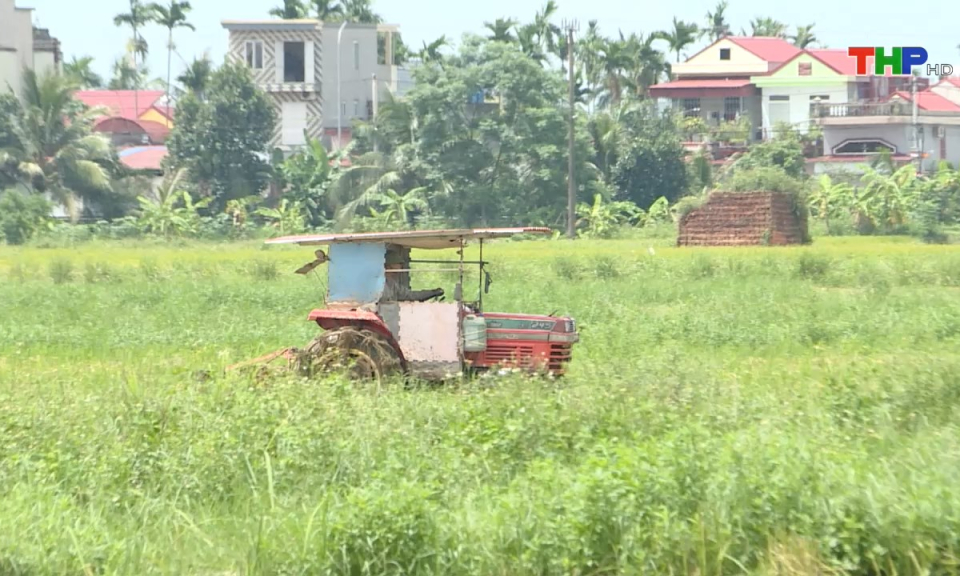 Bản tin thời sự s&aacute;ng (29/06/2024)