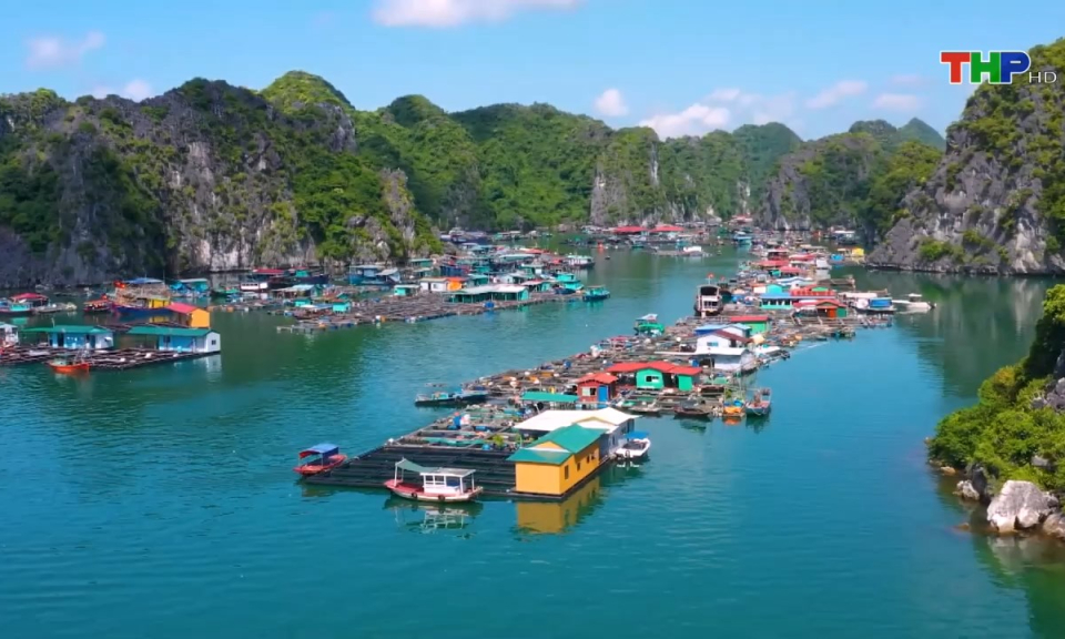 10 ph&uacute;t v&agrave;ng (30/06/2024)