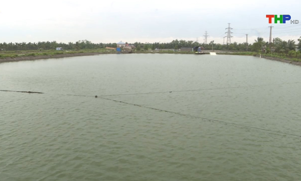 10 ph&uacute;t v&agrave;ng (03/07/2024)