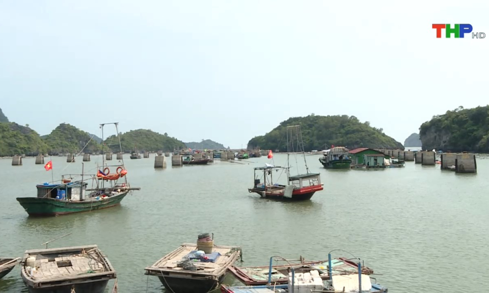 An ninh biển đảo: Th&agrave;nh phố Hải Ph&ograve;ng quyết t&acirc;m c&ugrave;ng cả nước th&aacute;o gỡ thẻ v&agrave;ng thủy sản 