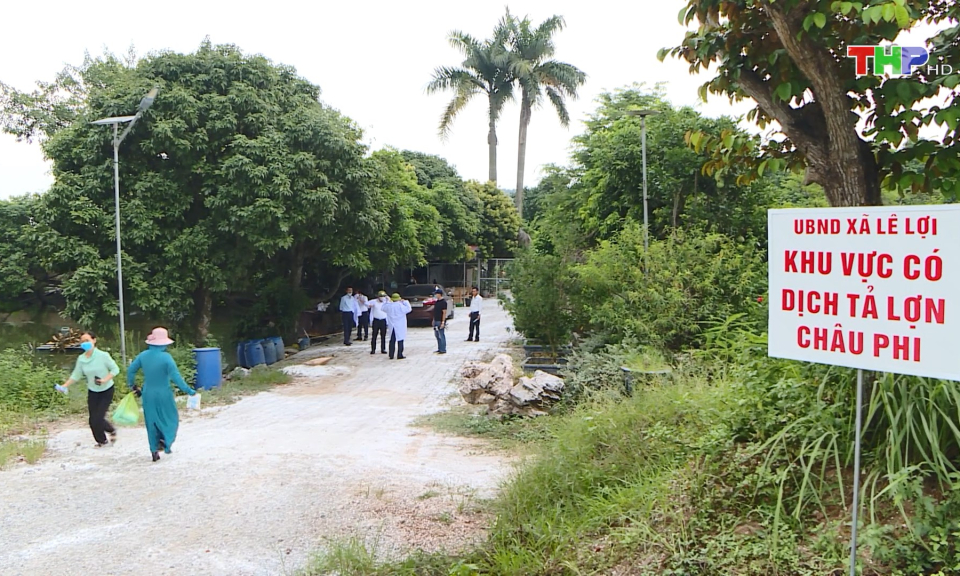 Xuất hiện ổ dịch tả lợn ch&acirc;u Phi tại huyện An Dương