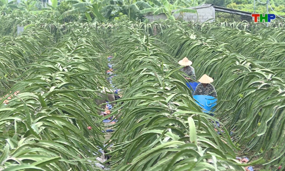 Bản tin thời sự tối (07/07/2024)