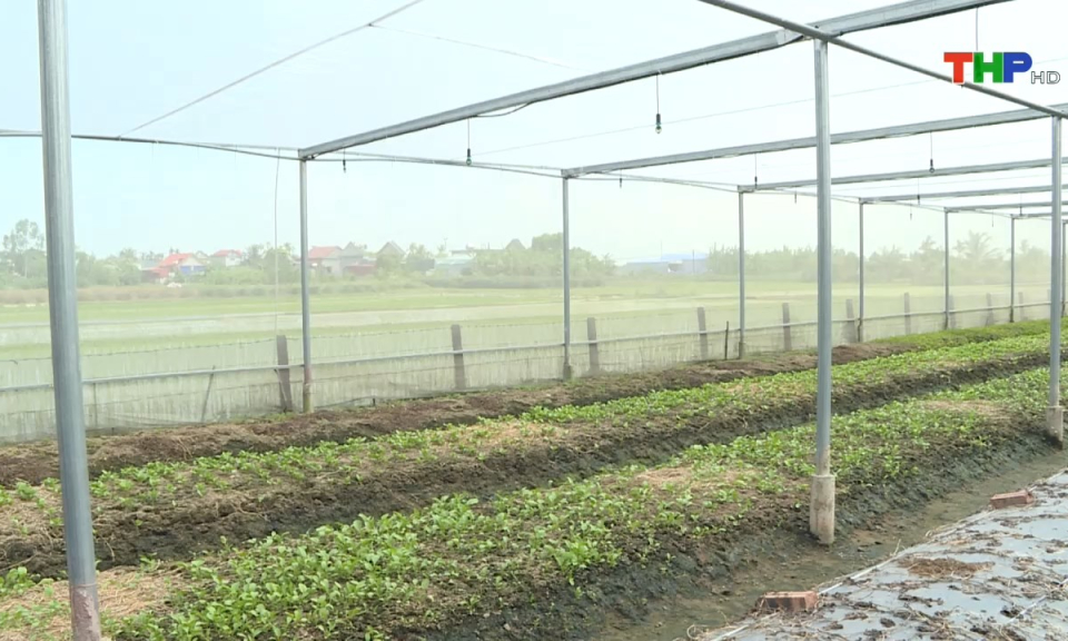 Bản tin tiếng Anh (08/07/2024)