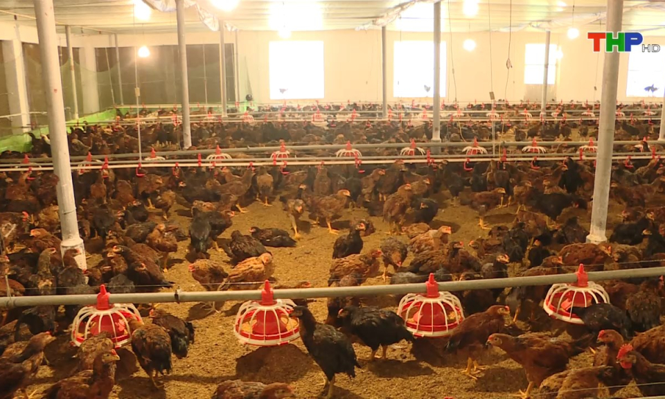 Bản tin Hải Ph&ograve;ng h&ocirc;m nay (09/07/2024)