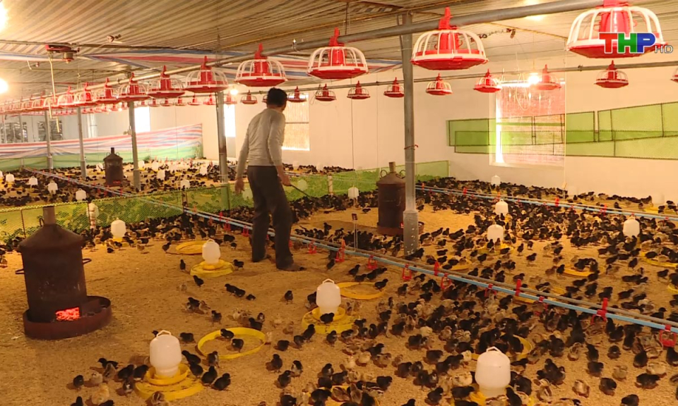 10 ph&uacute;t v&agrave;ng (09/07/2024)