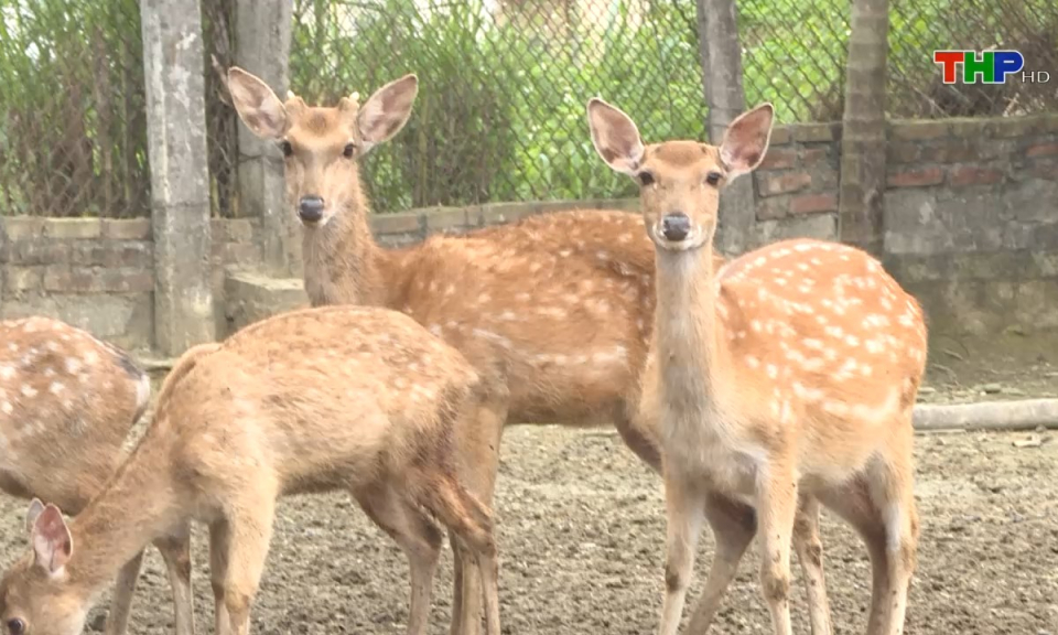 Bản tin tiếng Trung (09/07/2024)