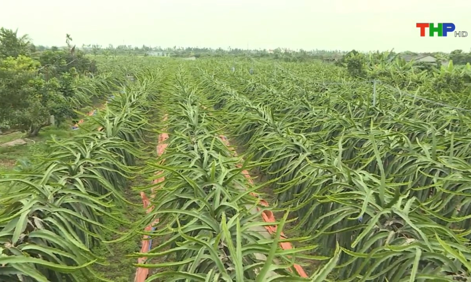 Bản tin thời sự s&aacute;ng (12/07/2024)