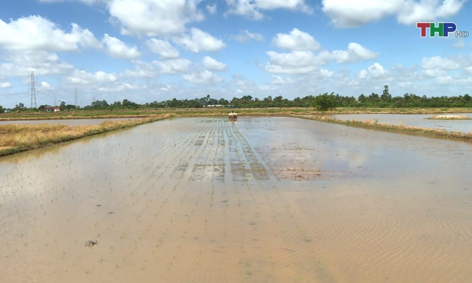 Phấn đấu ho&agrave;n th&agrave;nh gieo cấy vụ m&ugrave;a trước 25/7
