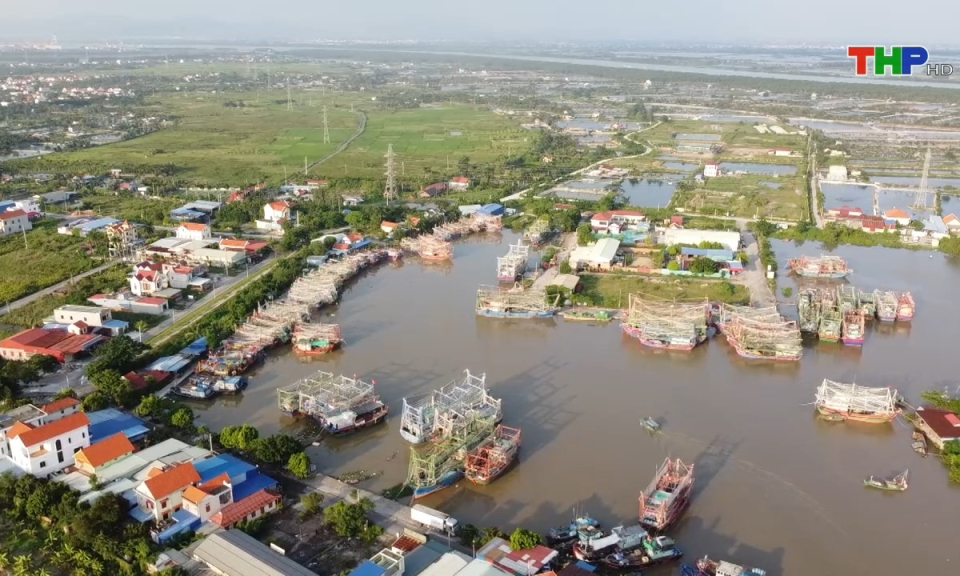 Bản tin tiếng Anh (12/07/2024)