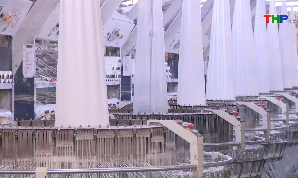 Bản tin thời sự tối (12/07/2024)