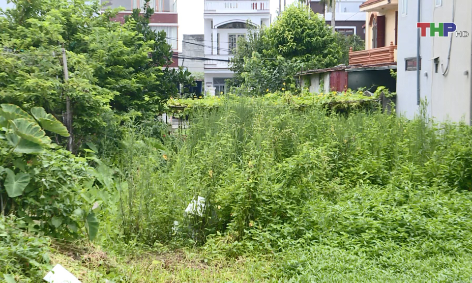 C&ocirc;ng t&aacute;c đấu gi&aacute; đất tại quận Hải An c&ograve;n gặp kh&oacute; 