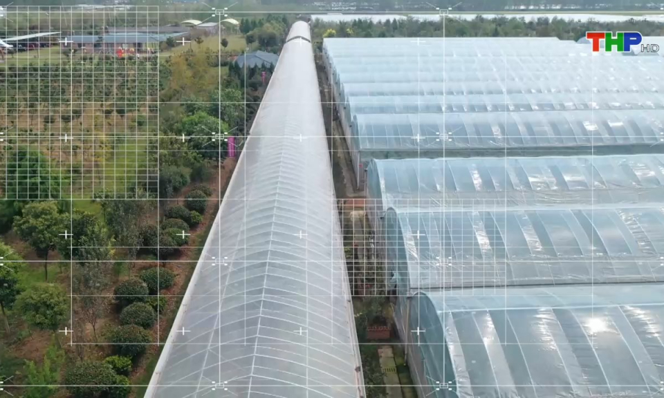N&ocirc;ng th&ocirc;n mới Hải Ph&ograve;ng: Ph&aacute;t triển n&ocirc;ng nghiệp trong bối cảnh chuyển đổi số