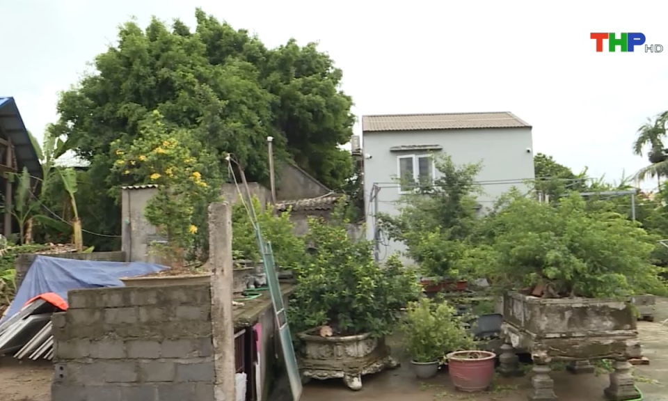 Ph&aacute;p luật v&agrave; cuộc sống: Đảm bảo đ&uacute;ng quy định của ph&aacute;p luật trong c&ocirc;ng t&aacute;c bồi thường, giải ph&oacute;ng mặt bằng