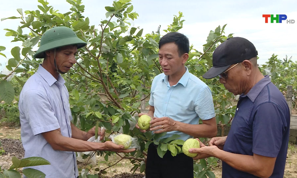 L&agrave;m gi&agrave;u tr&ecirc;n đồng đất qu&ecirc; hương