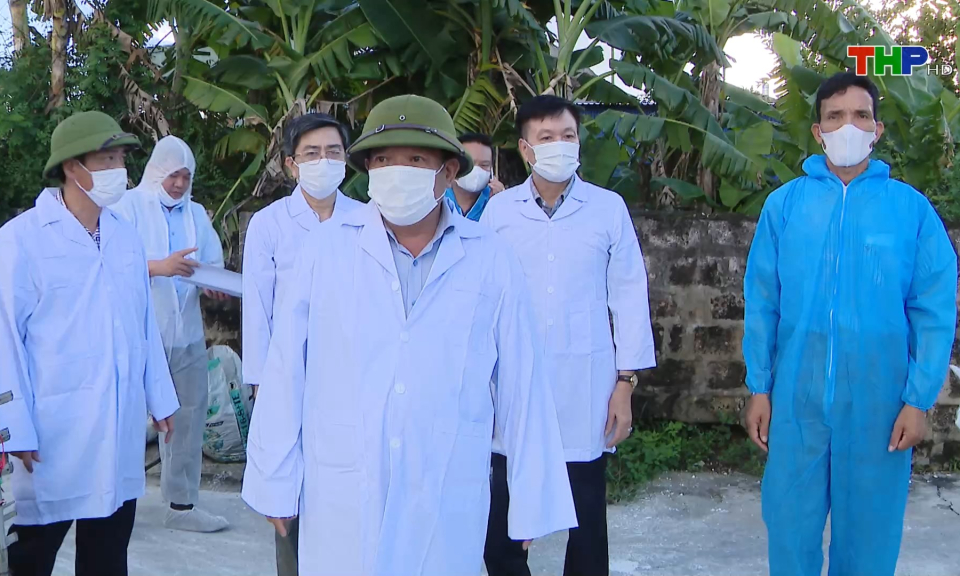 Tập trung ph&ograve;ng, chống dịch tả lợn ch&acirc;u Phi