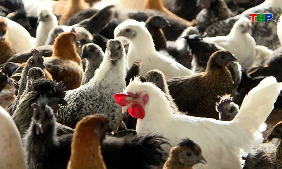 Bản tin thời sự s&aacute;ng (22/07/2024)