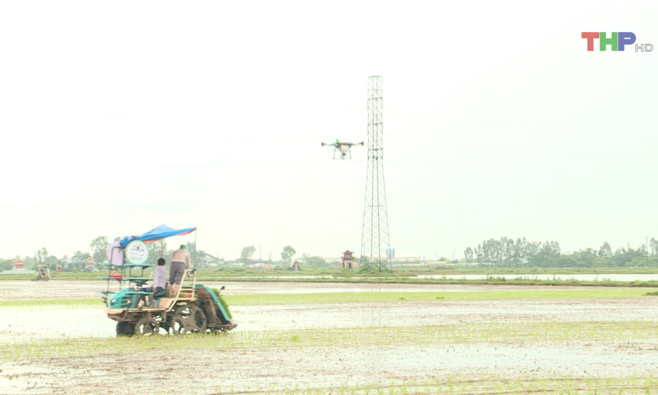 Mở rộng &aacute;p dụng c&ocirc;ng nghệ cao trong sản xuất n&ocirc;ng nghiệp