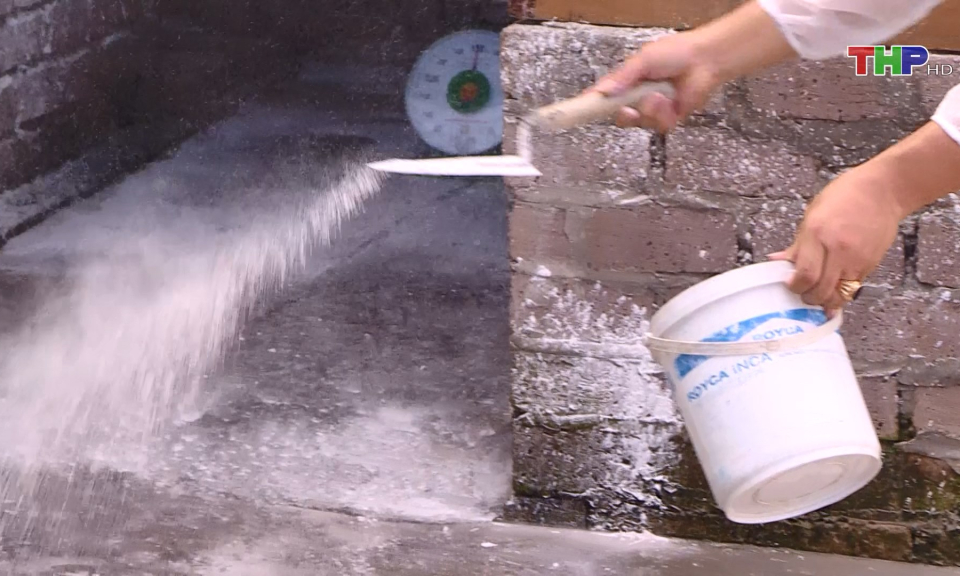 Xuất hiện ổ dịch tả lợn ch&acirc;u Phi mới