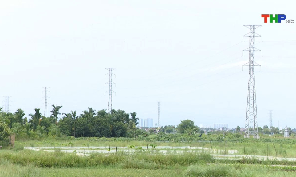 Bản tin tiếng Anh (27/07/2024)