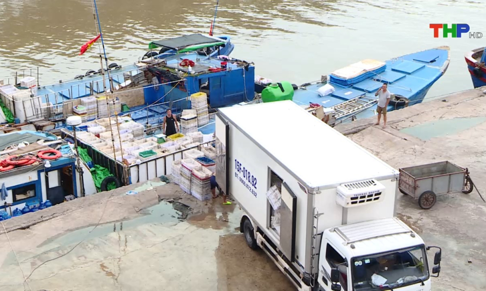 Bản tin tiếng Trung (28/07/2024)