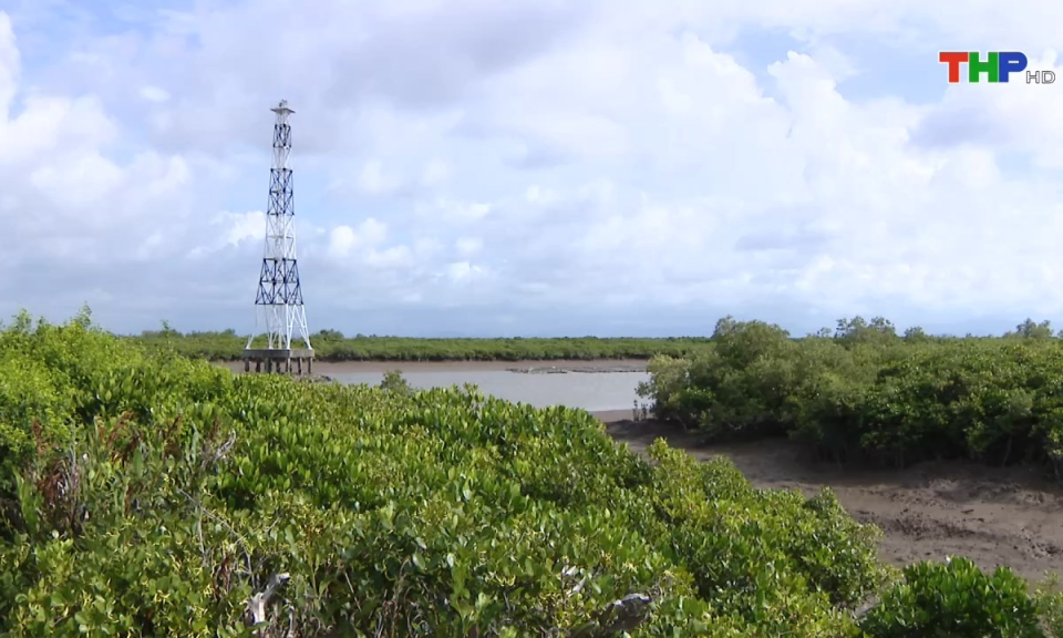 Bản tin Hải Ph&ograve;ng h&ocirc;m nay (30/07/2024)
