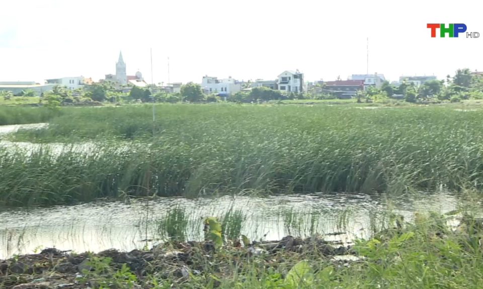 10 ph&uacute;t v&agrave;ng (30/07/2024)