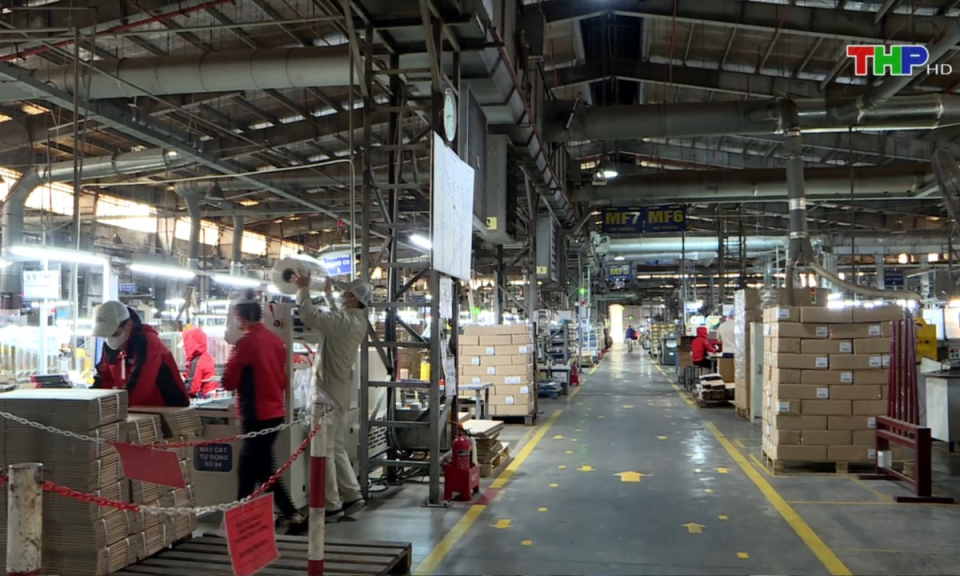 Bản tin thời sự trưa (31/07/2024)