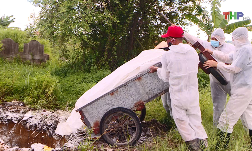 Kh&ocirc;ng để dịch tả lợn Ch&acirc;u Phi l&acirc;y lan