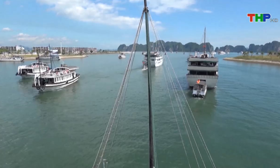 Bản tin Hải Ph&ograve;ng h&ocirc;m nay (31/07/2024)