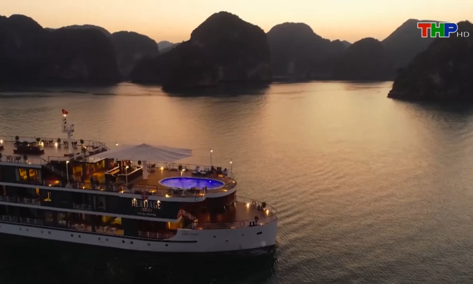 Bản tin tiếng Anh (31/07/2024)