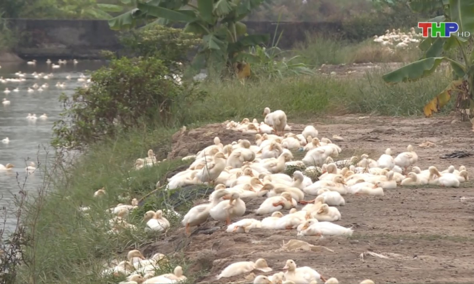 Bản tin thời sự trưa (01/08/2024)